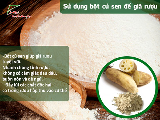 Bài thuốc giã rượu hiệu quả từ bột củ sen